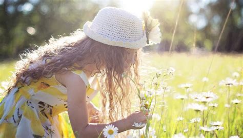 Lets Talk About Pollen Allergies Canberra Allergy