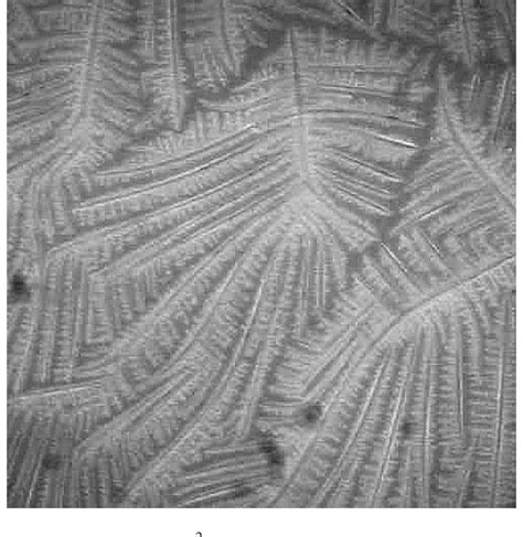 Figure 4 From Protein Induced Morphological Transitions In KCl Crystal