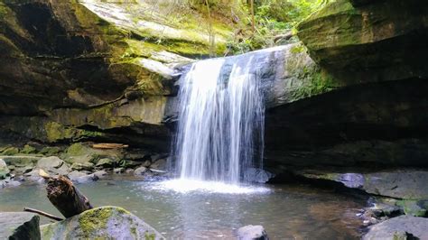 Are Dogs Allowed At Cumberland Falls