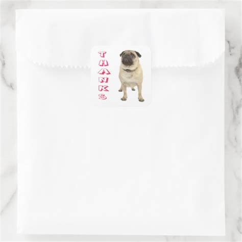 Thank You Pug Puppy Dog Stickers Seals Zazzle