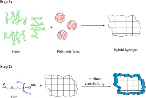 Simplified Schematic Of Synthesis And Surface Cross Linking Process Of