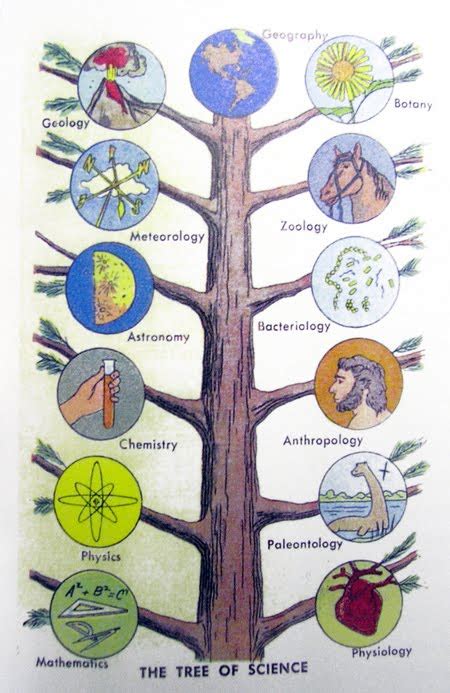 Tree Of Science