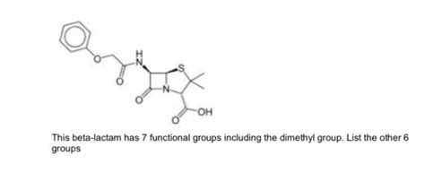 Solved Oh This Beta Lactam Has 7 Functional Groups Including