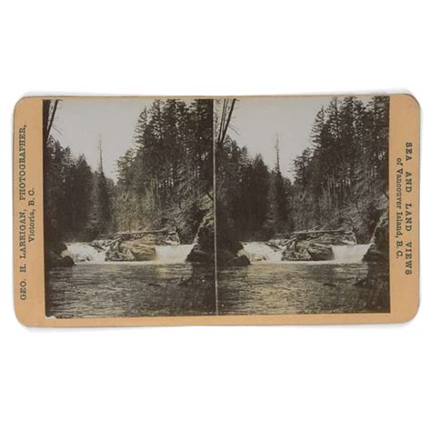 SAINT HALEY - vancouver island tour guide anthem, - Reviews - Album of