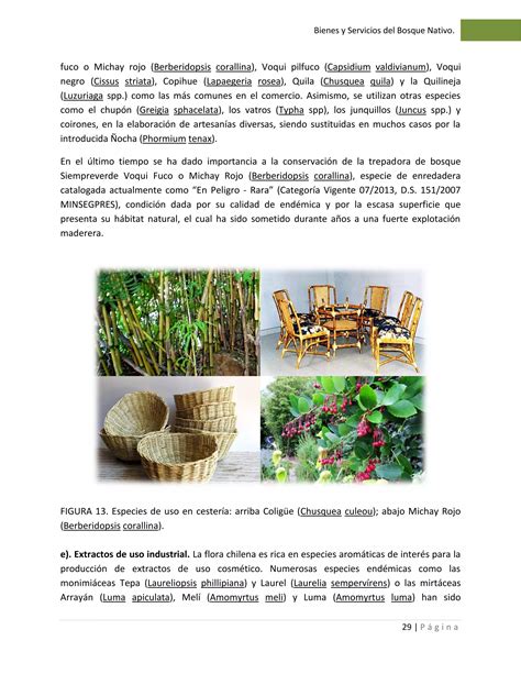 Material Educactivo Manual Manejo Tecnico Bosque Nativo Pdf