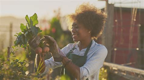 Corporate banking services from Dollar Bank