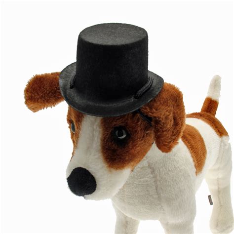 Dog Top Hat at BaxterBoo