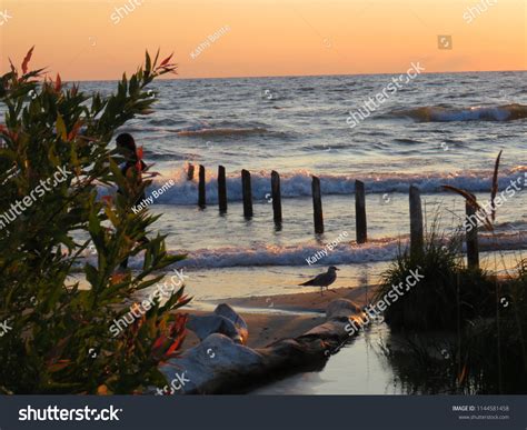 Sauble Beach Sunset Stock Photo (Edit Now) 1144581458