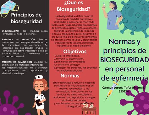 Folleto Normas Y Principios De Bioseguridad La Bioseguridad Se Define