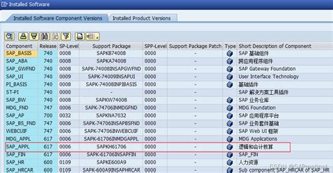 SAP 系统内核版本详解 sap版本 CSDN博客