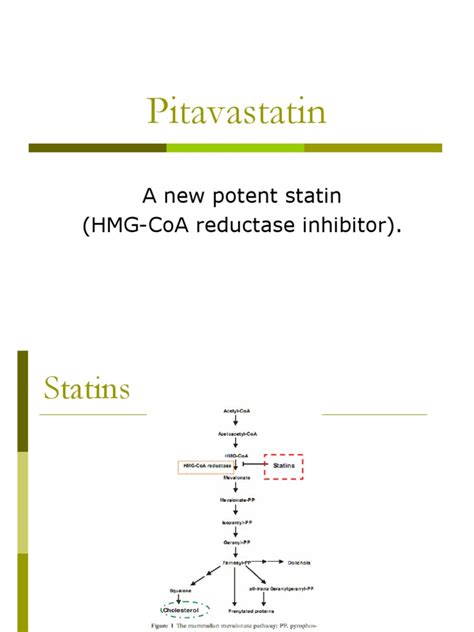 Pitavastatin Pdf Statin Low Density Lipoprotein