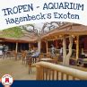 Tropen Aquarium Im Tierpark Hagenbeck Hti