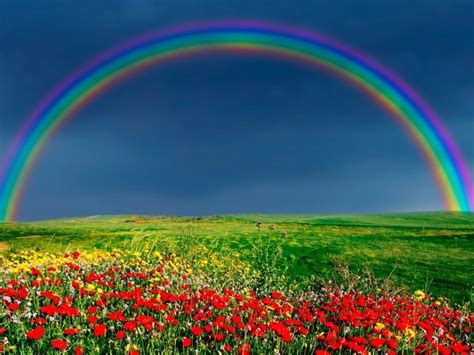 Spring Rainbow Wallpapers - Wallpaper Cave