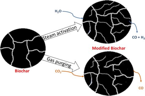 Microporous Structure Of Biochar Obtained After Steam Activation And