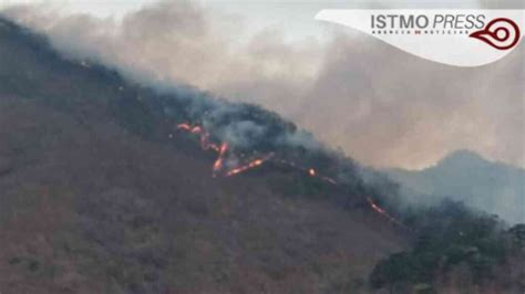 Por Incendios Declaran Emergencia La Selva De Los Chimalapas En Oaxaca Noticias Del Istmo Oaxaca