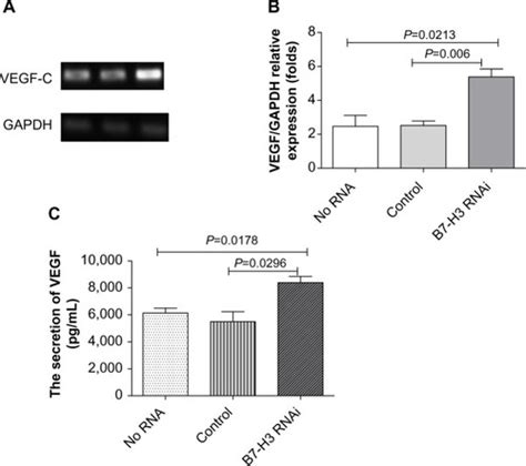 Full Article B7 H3 Expression In Breast Cancer And Upregulation Of Vegf Through Gene Silence