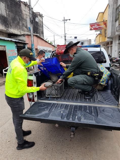 Polic A Salva Del Guiso A Hicoteas E Incauta Kilos De Carne De