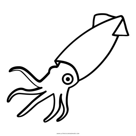 Printable Squid Coloring Pages Printable Word Searches