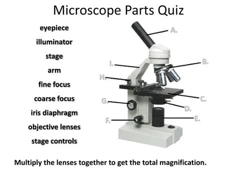 PPT - Microscope Parts Quiz PowerPoint Presentation, free download - ID ...
