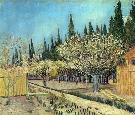 Orchard In Blossom Bordered By Cypresses 1888 Vincent Van Gogh