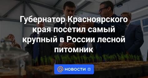 Губернатор Красноярского края посетил самый крупный в России лесной ...