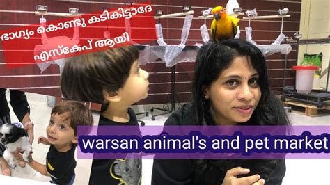 Warsan Pet Market Dubai Birds And Pet Market Dubai Pet Market Uae