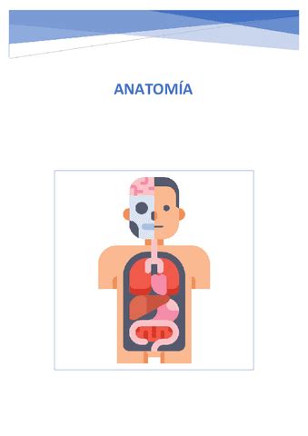 Embriologia Pdf