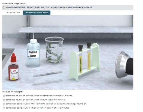 Solved Observe The Image Below Photosynthesis Monitoring Chegg