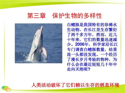 人教版八年级生物上册第六单元第第三章保护生物的多样性课件共38张pptword文档在线阅读与下载无忧文档