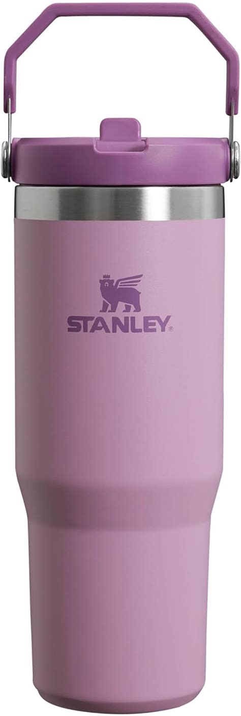 Amazon STANLEY IceFlow Flip Straw Water Bottle With Straw 0 89L