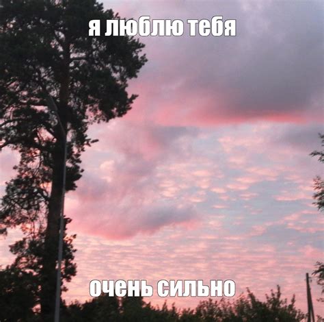 Создать мем "человек, фотографии, закат малиновый" - Картинки - Meme ...