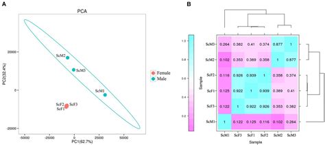 Frontiers Gonad Transcriptome Analysis Of The Razor Clam