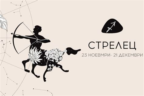 Зодия Стрелец – характеристика и хранителен режим | For Life