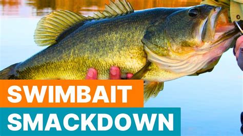 Swimbait Smackdown Reel In Monster Bass W These Swimbait Tips YouTube