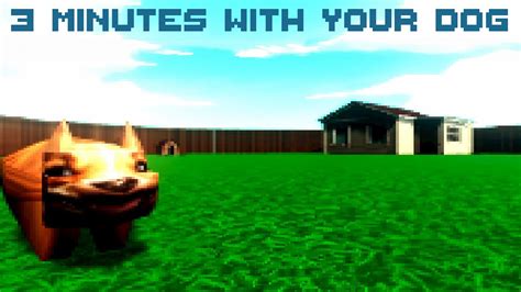 Three Minutes With Your Dog - YouTube