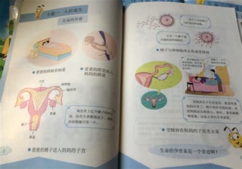 Groundbreaking Explicit Sexual Education Textbook Causes Stir In