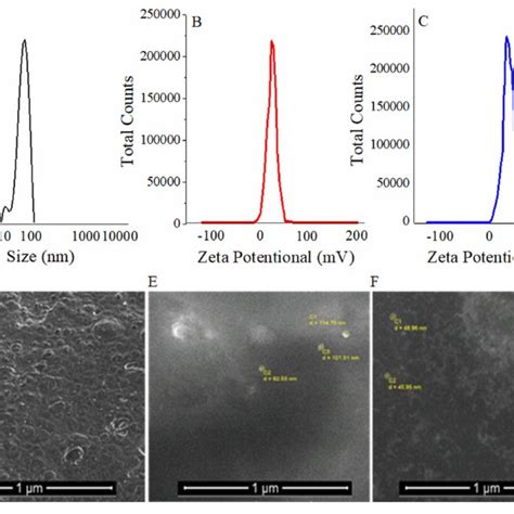 A Size Distribution Curve Of Sio Nps B Zeta Potential Curve Of