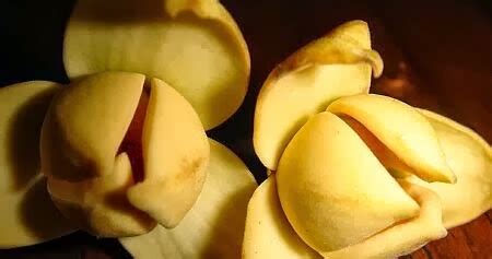 Read: Rumdul, The national flower of Cambodia (Khmer)