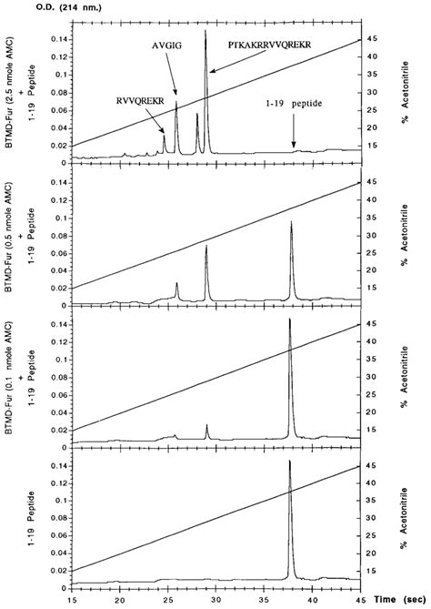 Rp Hplc Elution Profiles Of A Peptide Spanning The Gp Gp Junction