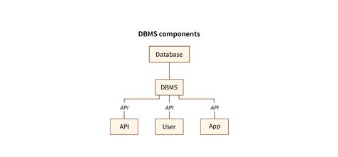 Database Management System Examples