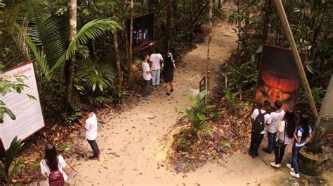 Crian As De At Anos Ter O Entrada Gratuita Para Visitar O Museu Da