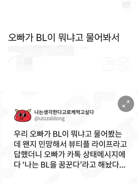 오빠가 Bl이 뭐냐고 물어봐서 웃긴 밈 웃긴 인용구 밈 유머