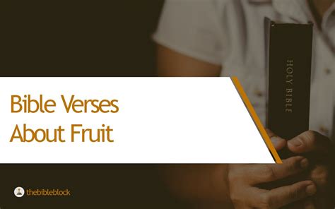 Bible Verses About Fruit Exploring The Spiritual Significance Of