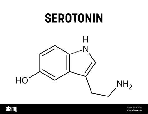 Serotonin Molecular Structure Serotonin Is Monoamine Neurotransmitter