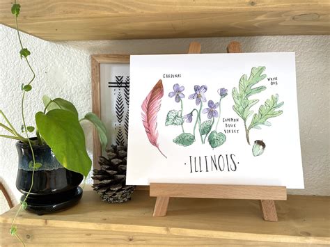 Illinois State Flower State Tree State Bird Watercolor Art - Etsy