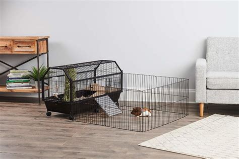 Best Guinea Pig Cage for 2 - Guinea Pig Cage Reviews