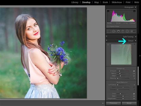 Sharpening In Lightroom 4 Days To Sharper Photos Pretty Presets For Lightroom