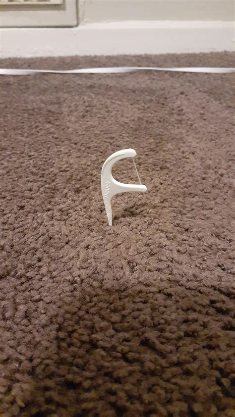 I dropped this toothpick on the ground and it landed on the sharp end ...