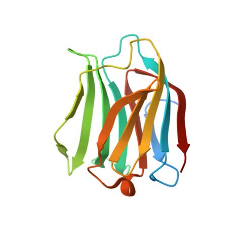 Gene P56470 Protein LGALS4 Overview CanSAR Ai