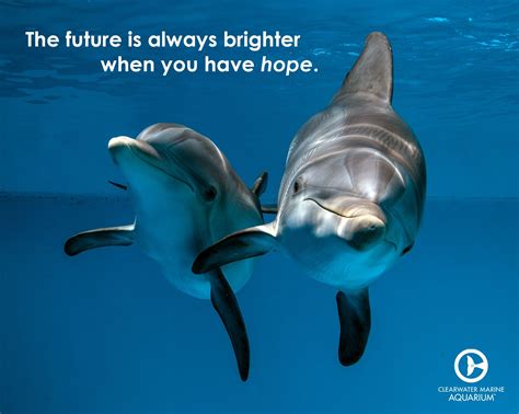 Dolphin Quotes - ShortQuotes.cc